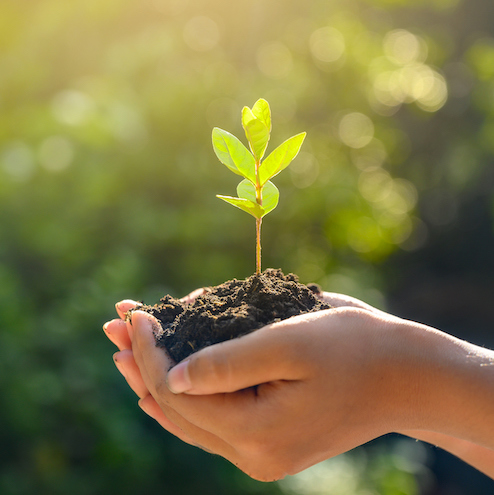 Protect Our Environment Projects